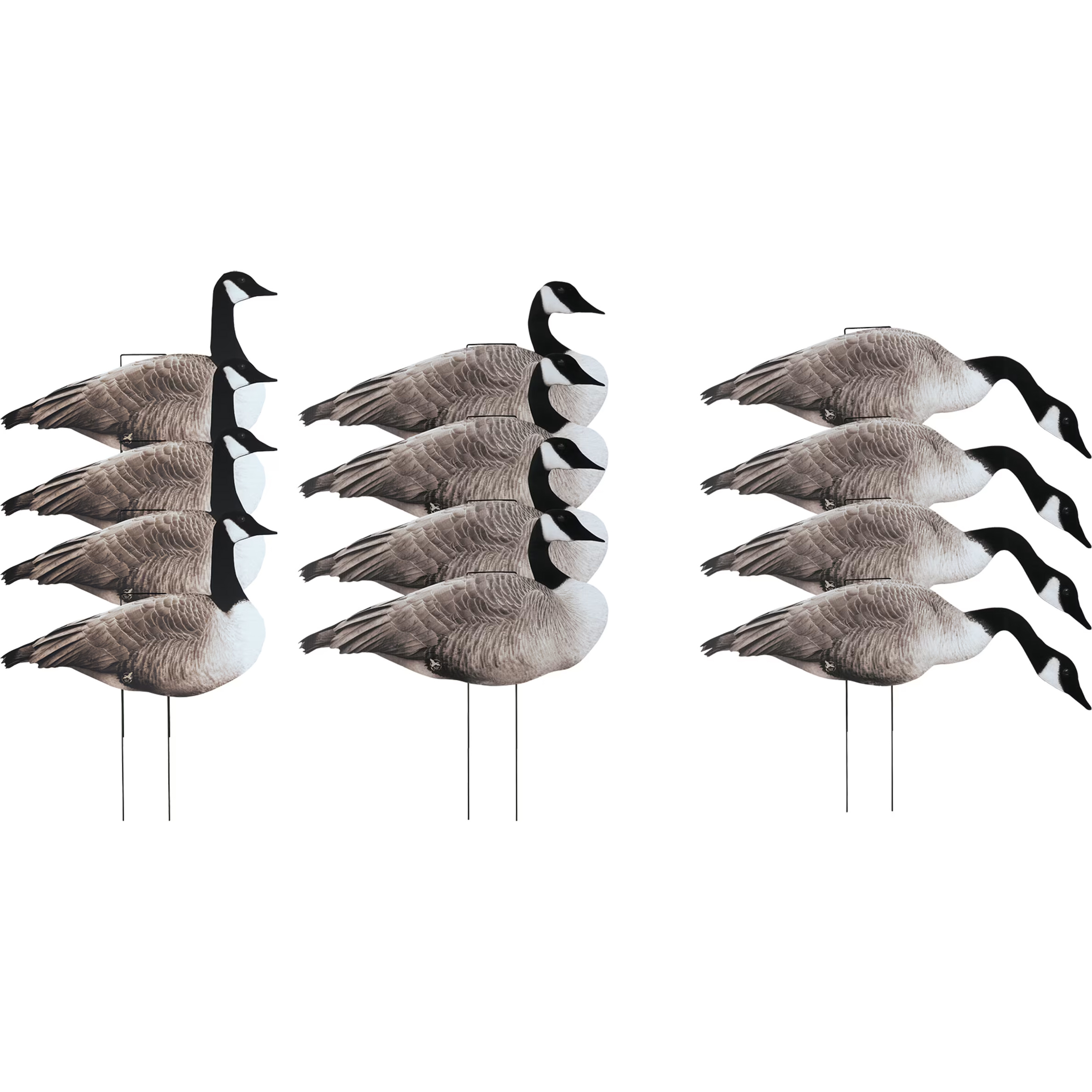 Northern Flight Canada Goose V2 Silhouette Goose Decoys Bass Pro Shops